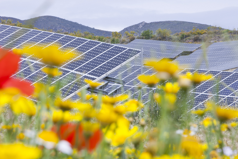 América Latina y el Caribe avanzan en su compromiso con las energías renovables