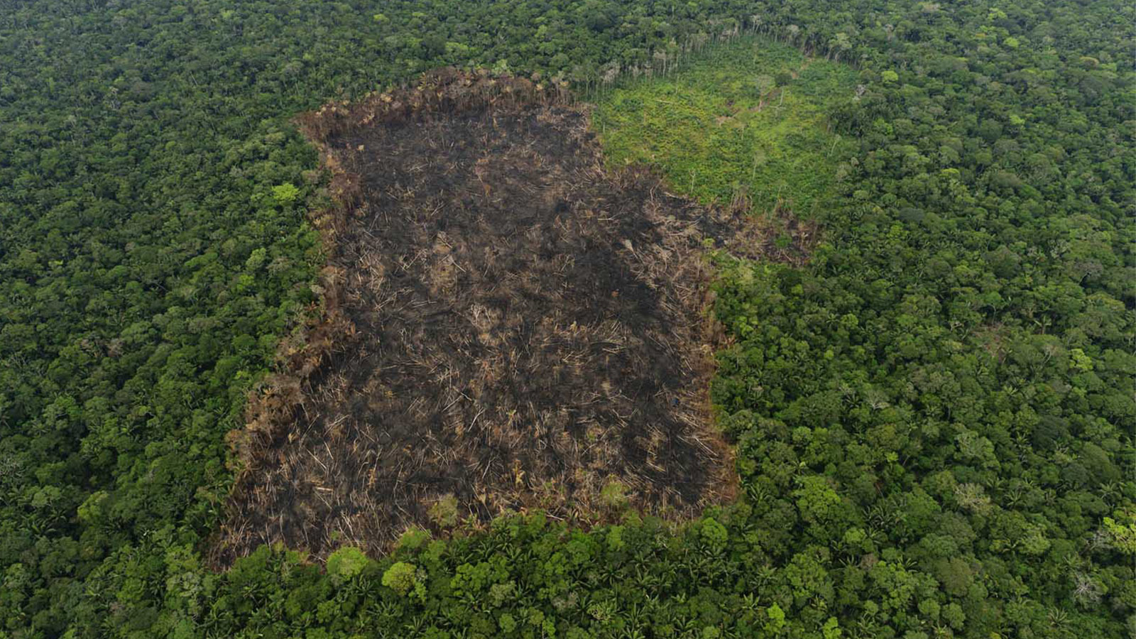 DESAFÍOS AMBIENTALES PARA EL 2020