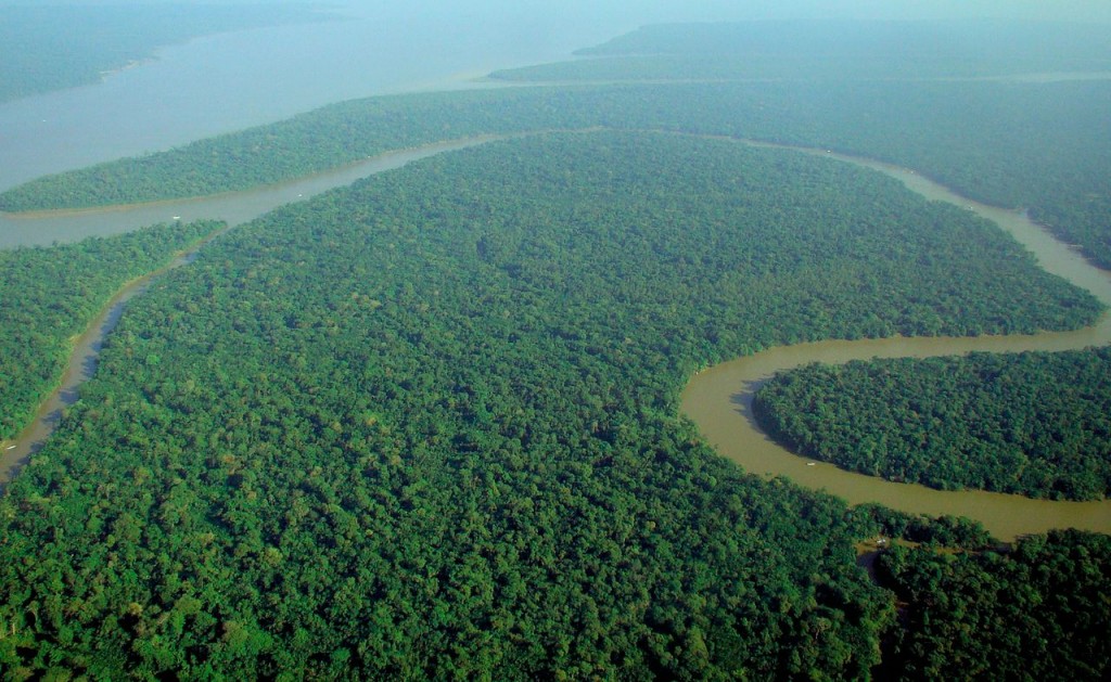 LA PANDEMIA PODRIA SER UNA OPORTUNIDAD PARA LA PRESERVACIÓN DEL PLANETA