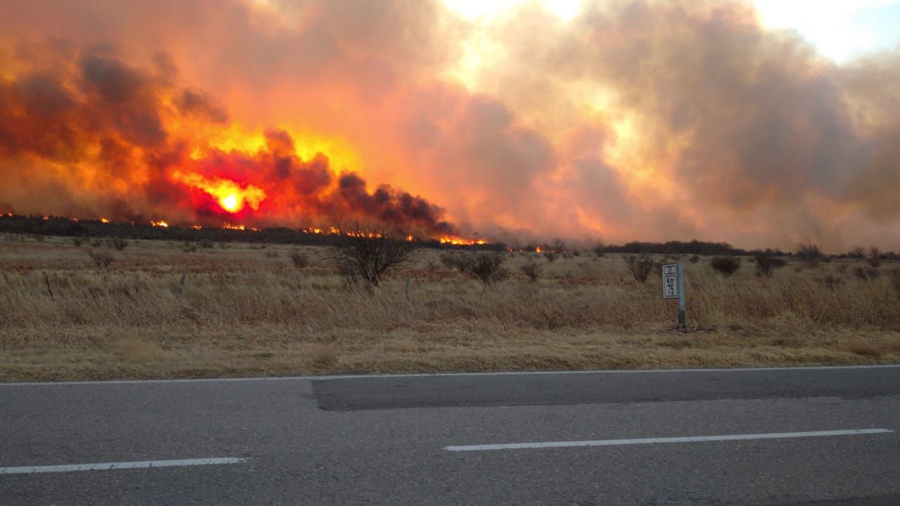 INCENDIOS FORESTALES EN ARGENTINA
