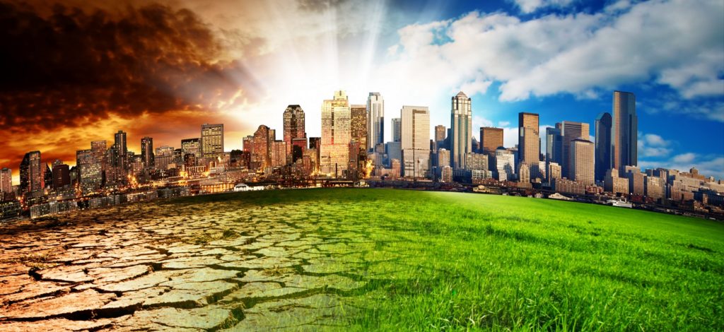 DÍA INTERNACIONAL DEL CAMBIO CLIMÁTICO